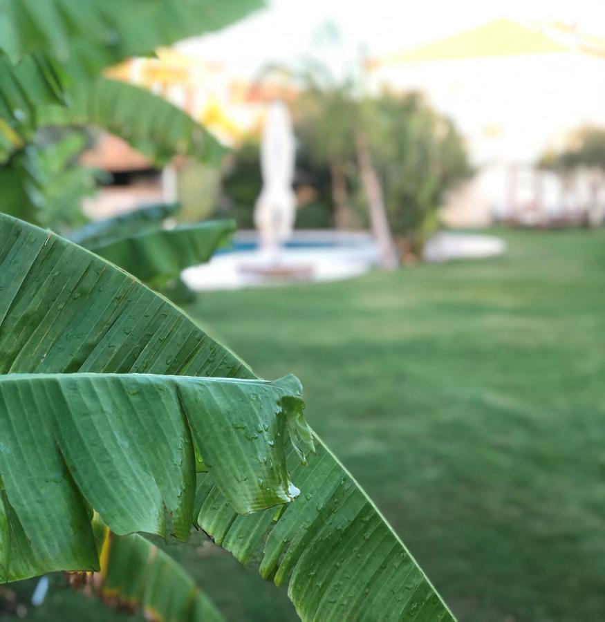 Triangulo Hotel Alaçatı Zewnętrze zdjęcie